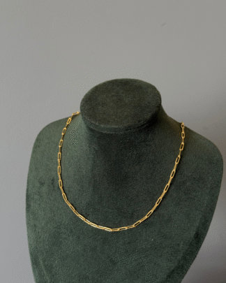 Chocker Elos Lisos Simples