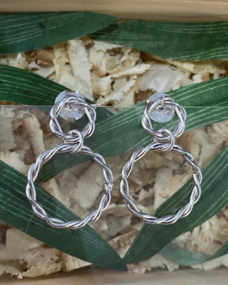 Brinco Círculos Liso Torcido